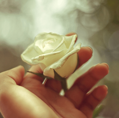 13f9981a88d2a27da49dce8fe3b387951